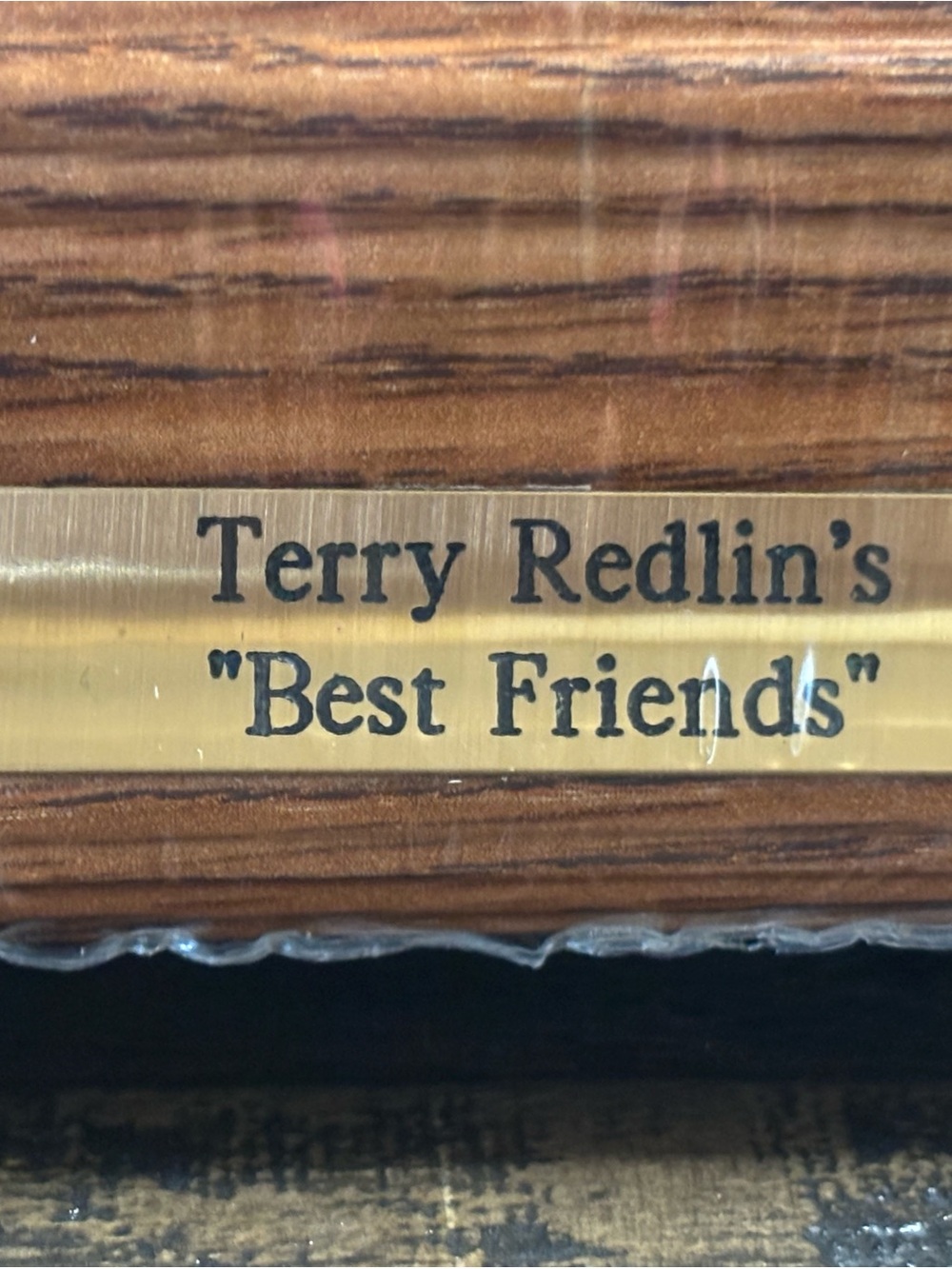 Terry Redlin "Best Friends" Framed Sunset Print - Picture 3 of 11